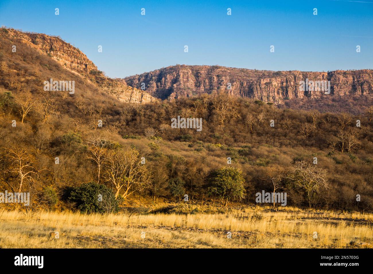 Ranthambore National Park e Tiger Reserve, Ranthambore, Rajasthan, India Foto Stock
