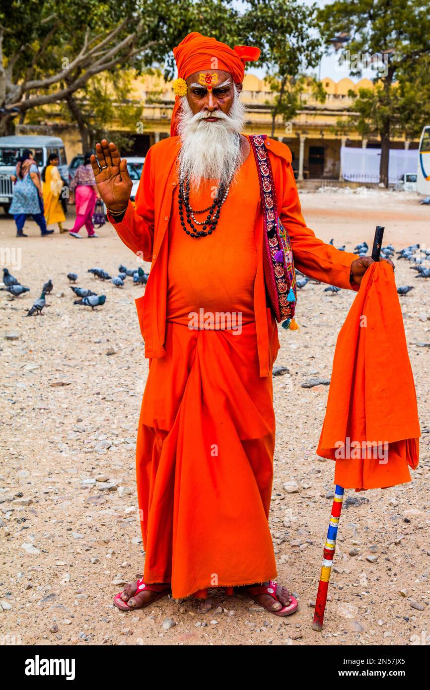 Sadhu, uomo santo, Rajasthan, India Foto Stock