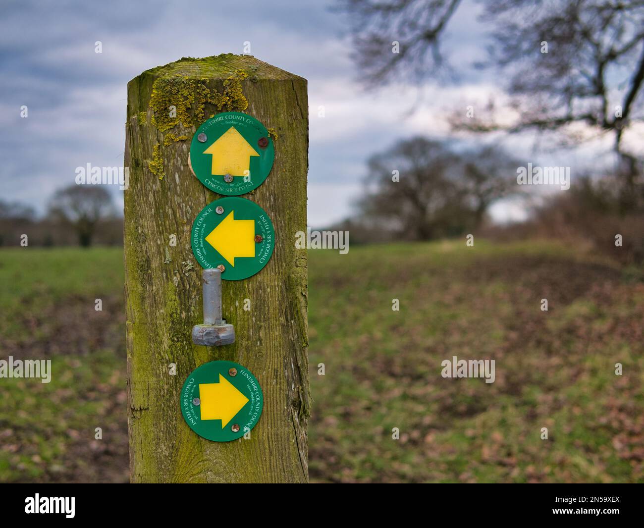 Indicatori a tre vie che indicano i sentieri pubblici davanti, a sinistra e a destra, fissati a un palo di legno in un campo in Flintshire, Galles del Nord, Regno Unito. Preso su un ove Foto Stock