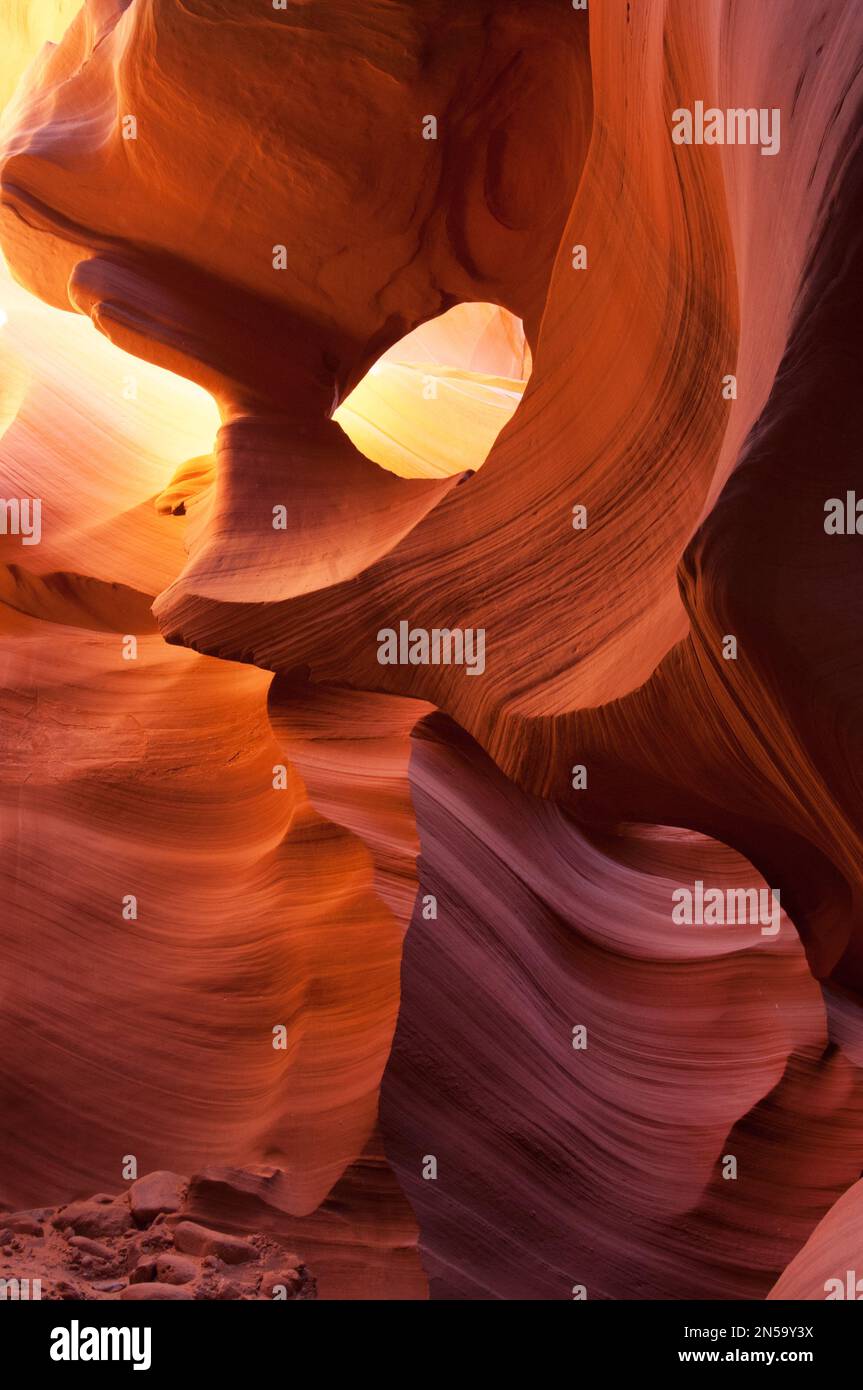 Maestose onde di arenaria del canyon di slot Antelope nella terra di Navajo vicino a Page, Arizona, Stati Uniti sudoccidentali Foto Stock