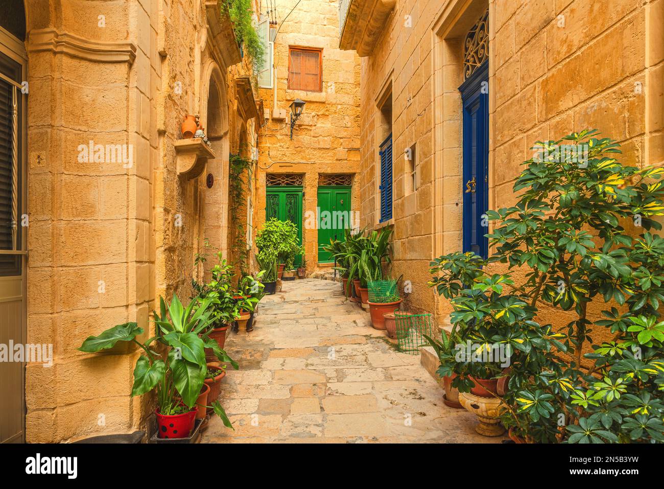 Vasi di fiori nella vecchia stradina medievale con edifici in pietra gialla nella città di Mdina, Malta. Destinazione di viaggio in Europa Foto Stock