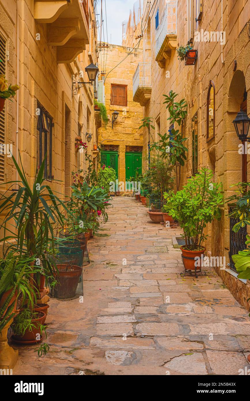 Vecchia strada medievale con edifici in pietra gialla e vasi di fiori nella città di Mdina, Malta. Orientamento verticale. Destinazione di viaggio in Europa Foto Stock