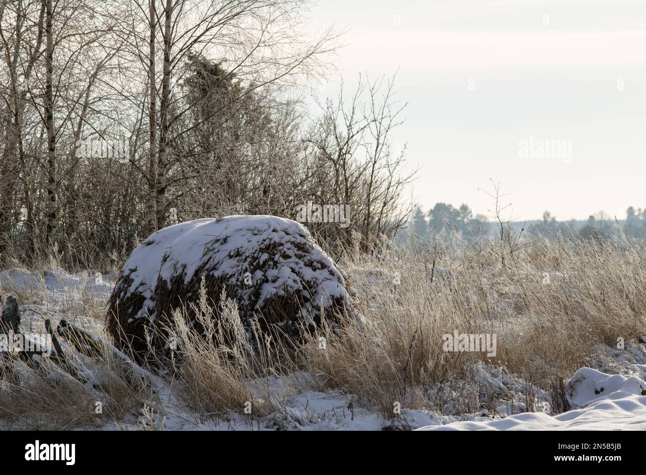 Campo rurale nel mese di gennaio, un pagliaio in una fredda giornata invernale Foto Stock