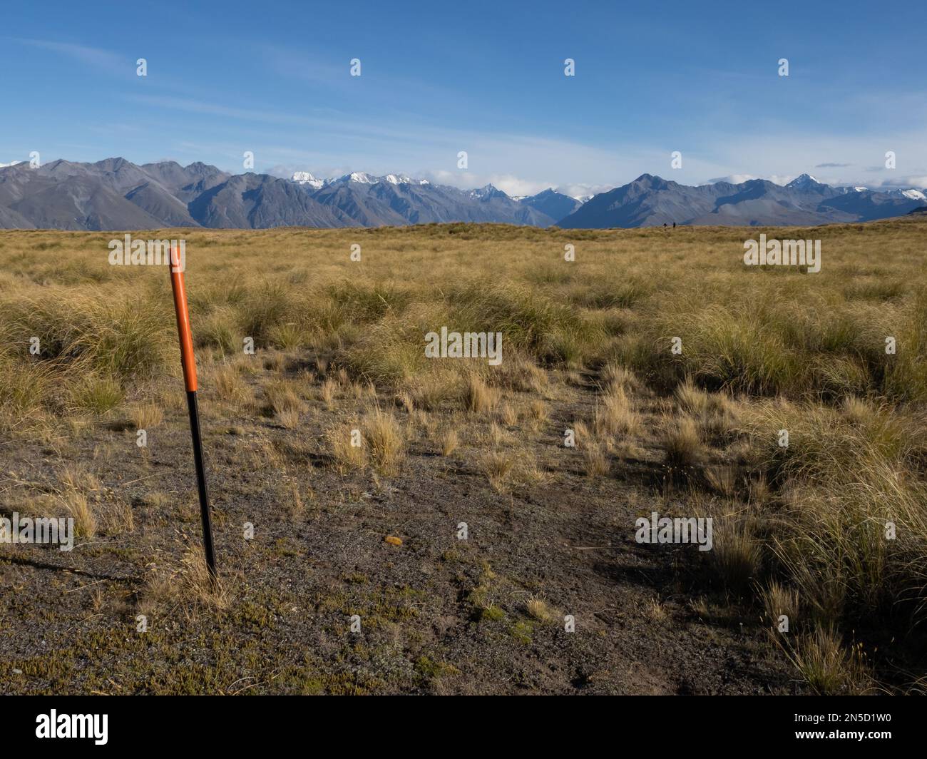 I segnavia arancioni mostrano la strada attraverso le praterie tussock aperte con le Alpi meridionali della Nuova Zelanda sullo sfondo Foto Stock
