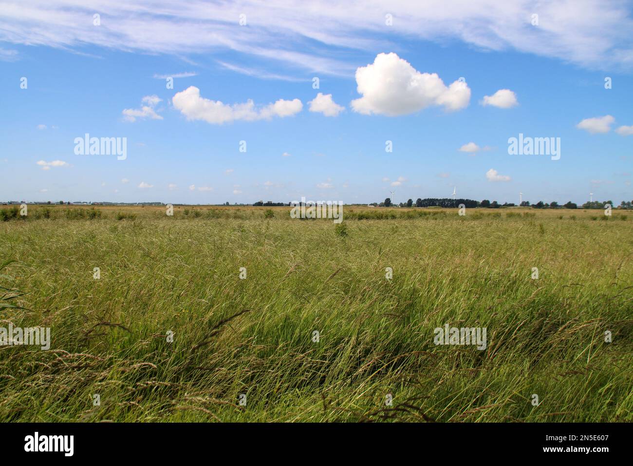 Prati e strade nella zona di Zuidplaspolder dove verrà costruito un nuovo villaggio nei Paesi Bassi Foto Stock