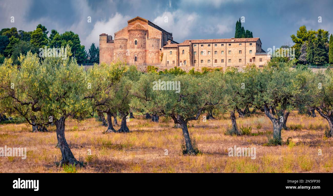 Vista panoramica estiva dell'Abbazia di San Giovanni in Venere. Verde fresco scenario di oliveto in Italia, Europa. Concetto di viaggio sfondo. Foto Stock