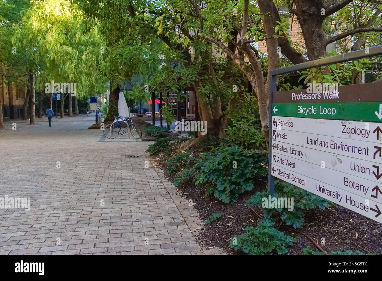 Melbourne, Victoria, Australia - 06 Apr 2014: La passeggiata pedonale all'Università di Melbourne Foto Stock