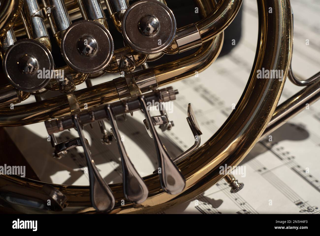 Una parte del corno francese sullo sfondo bianco delle note musicali Foto Stock