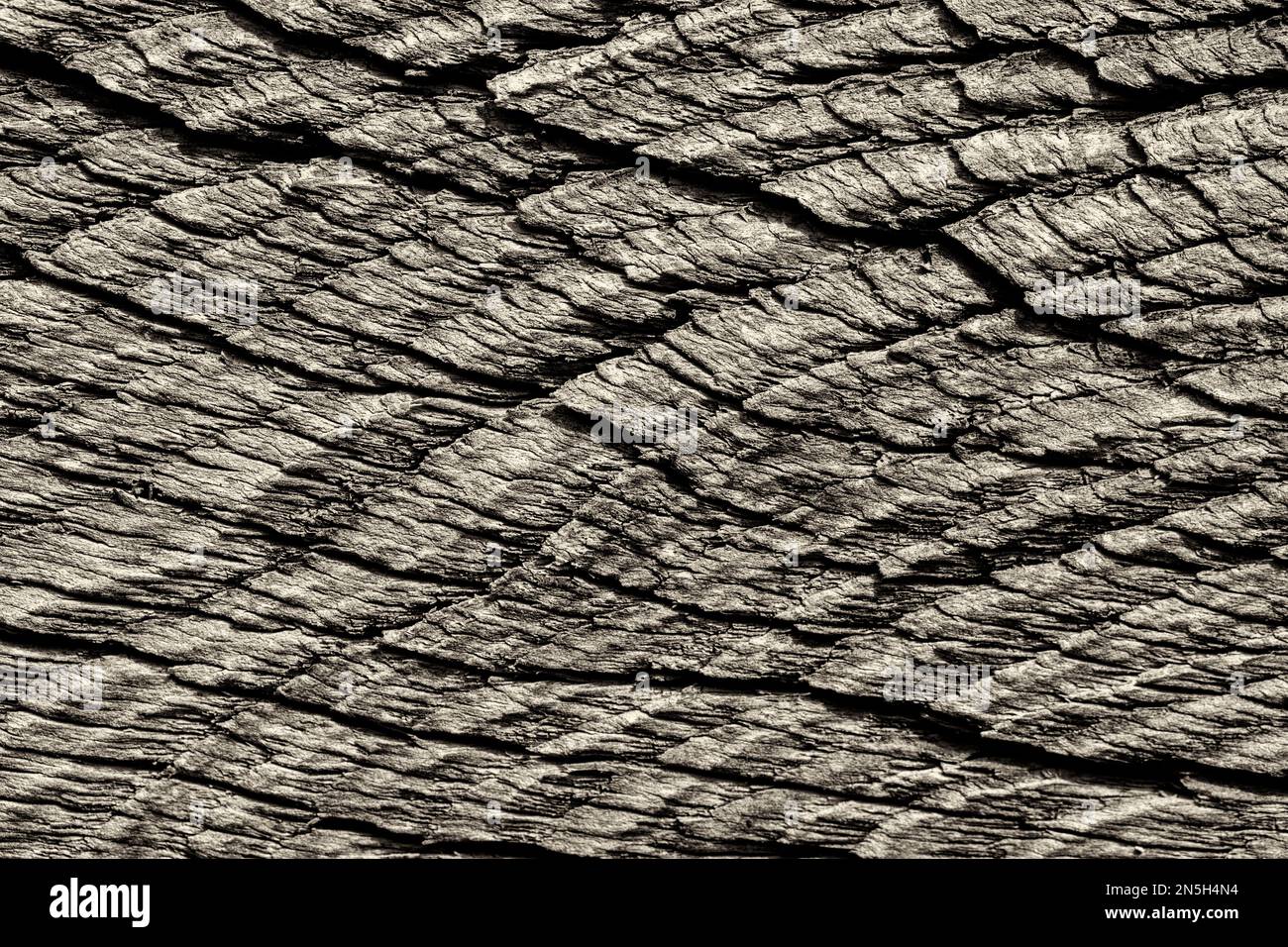 Vecchie strutture in legno Foto Stock Vecchie strutture in legno Foto Stock