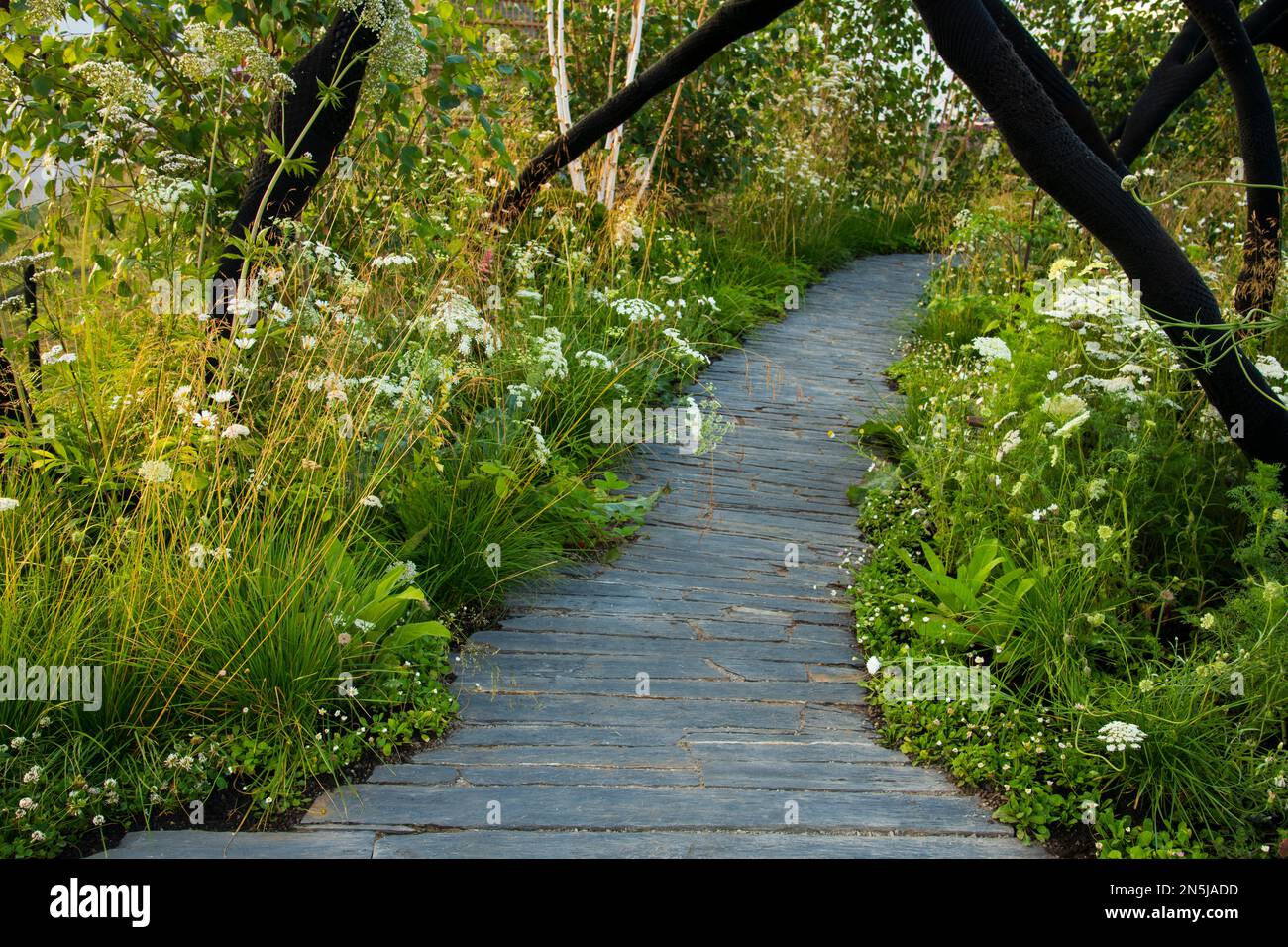 Fiori selvatici intorno ad un passaggio in legno sotto archi di arnbombato nero nel Connections Garden al RHS Hampton Court Palace Garden Festival 2022 Foto Stock
