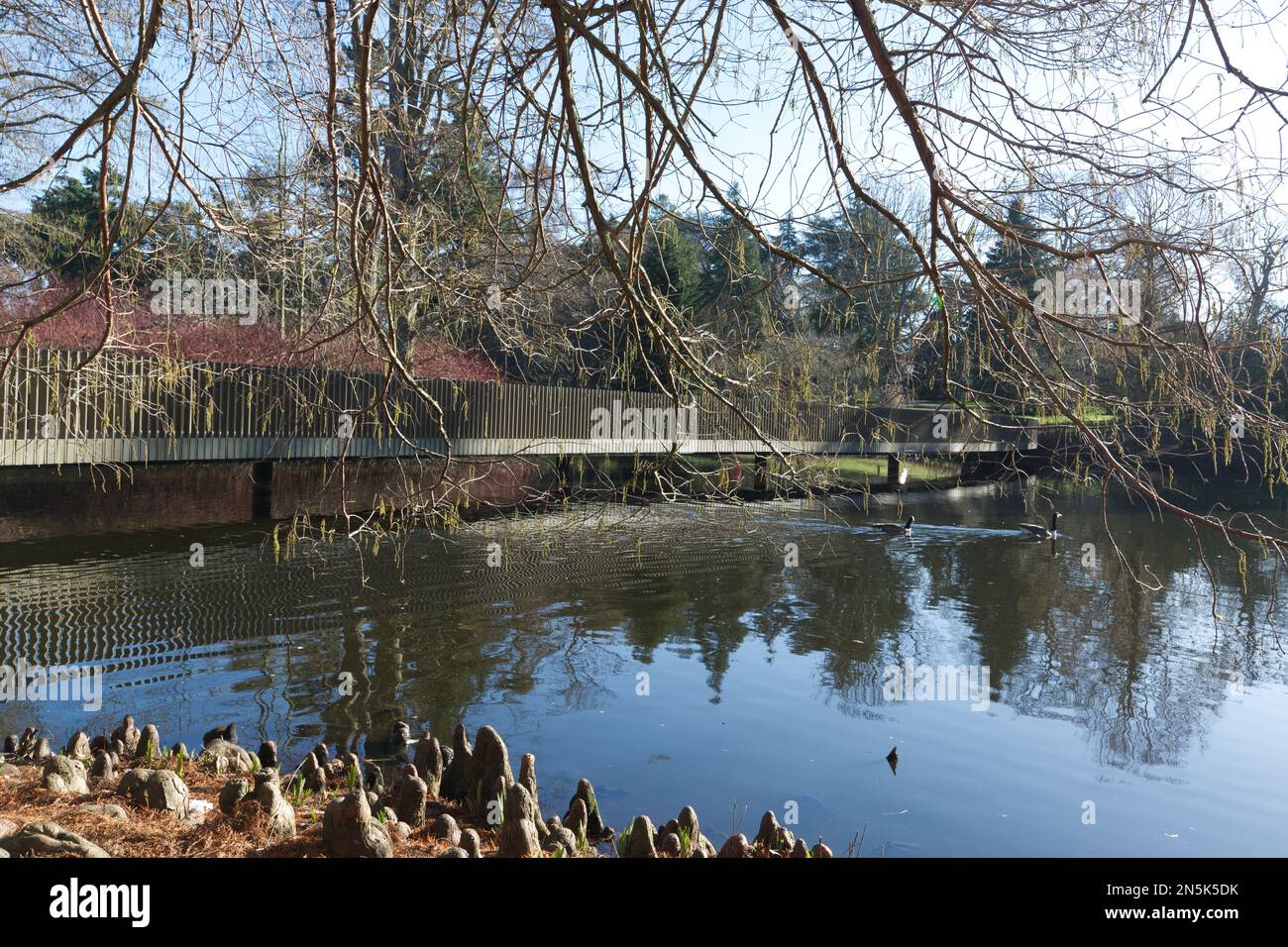 Ponte sul lago Kew Gardens - Londra, Regno Unito Foto Stock