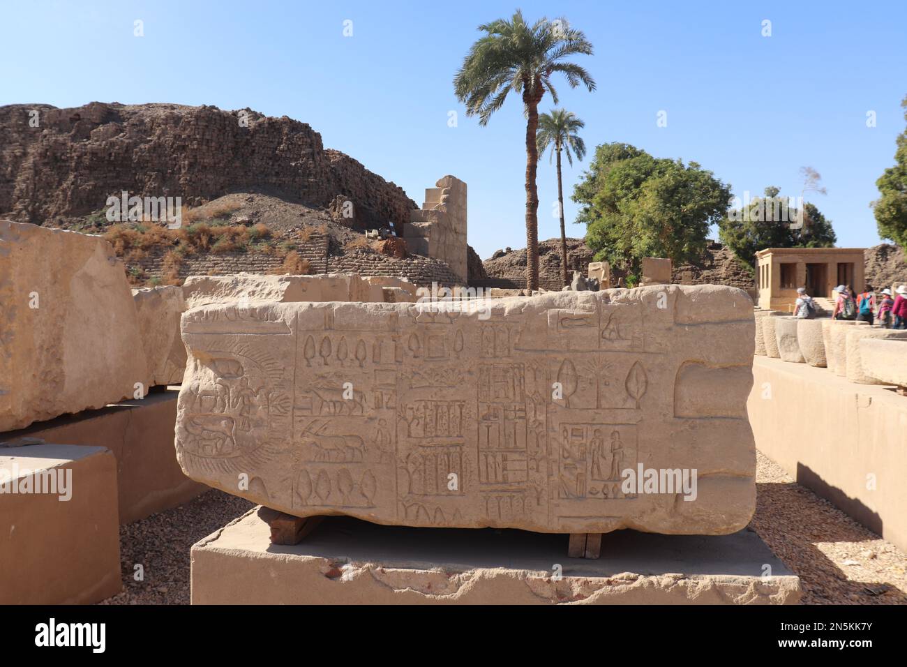 Antichi simboli egiziani e geroglifi scolpiti nel tempio di Karnak a Luxor, Egitto Foto Stock