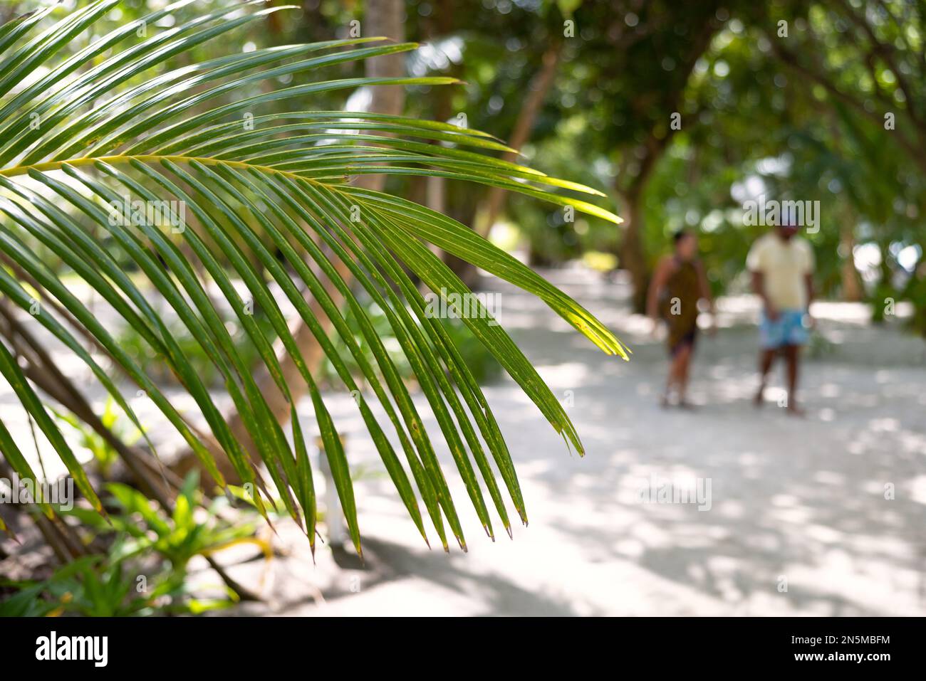 Maldive scena - foglia di palma e la gente nel paesaggio, Rasdhoo atoll, le isole tropicali Maldive, Asia Foto Stock