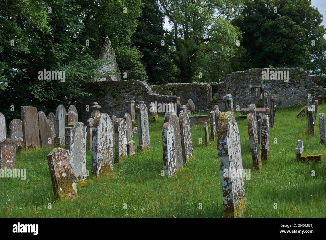 Rovine di antiche chiese e lapidi nel vecchio cimitero di Minnigaff vicino a Newton Stewart, Wigtownshire, Dumfries e Galloway, Scozia. Foto Stock