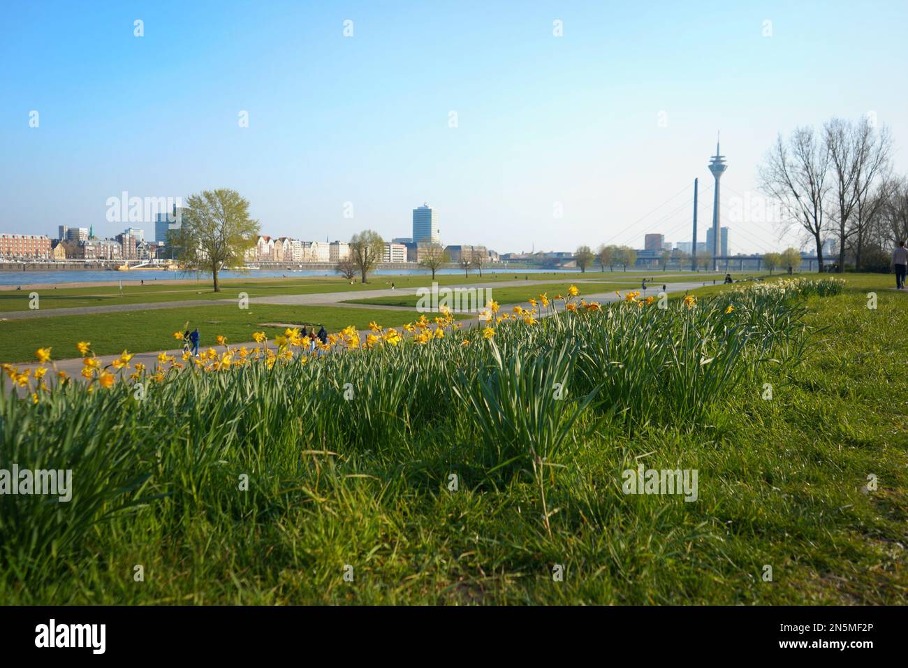 Paesaggio primaverile nel quartiere Düsseldorf di Oberkassel. Sullo sfondo è visibile il simbolo della Torre del Reno. Foto Stock
