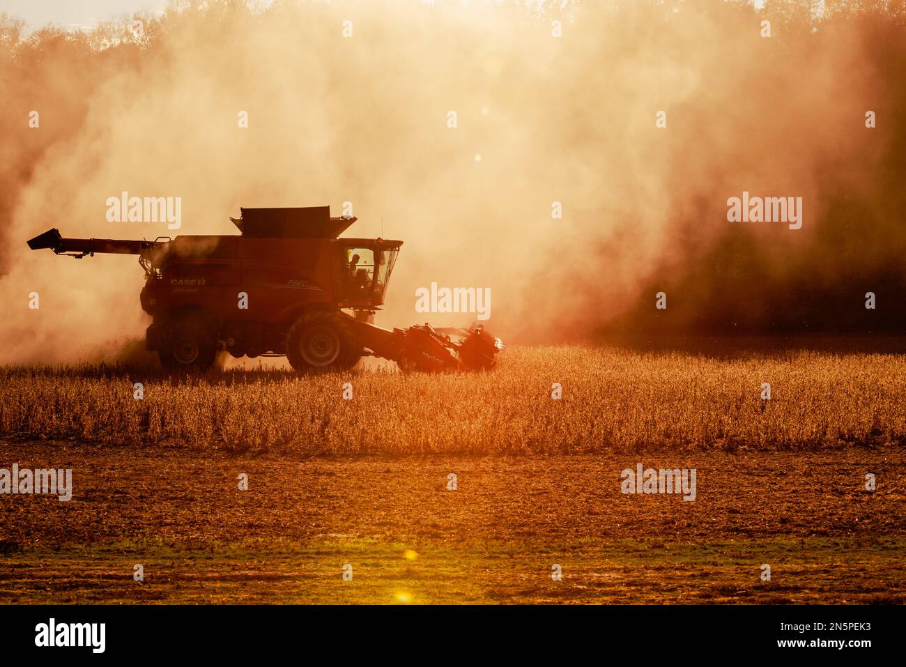 Raccolta di fagioli di soia nel Tennessee centrale Foto Stock