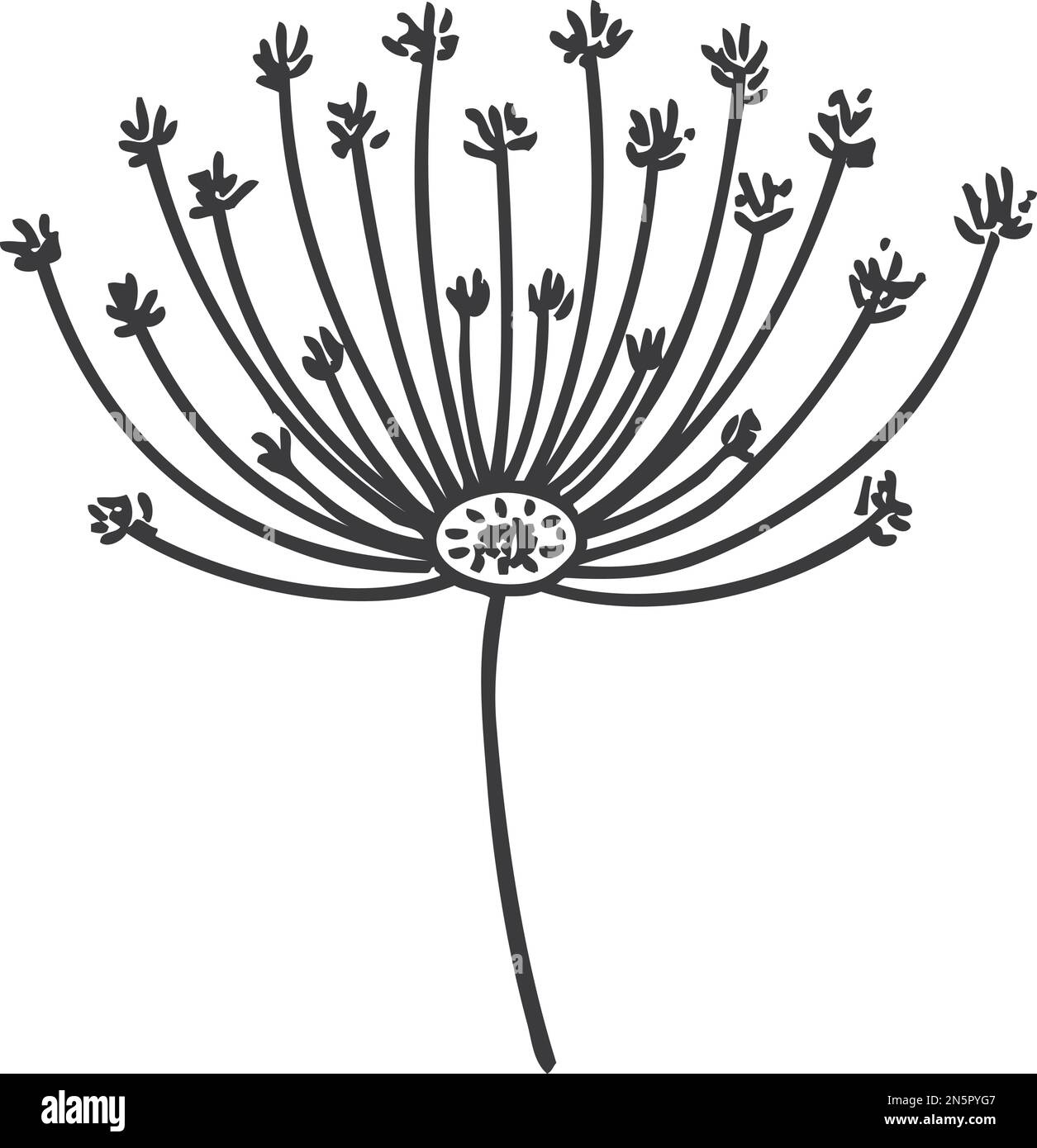 Icona dente di leone disegnata a mano. Semi floreali neri Illustrazione Vettoriale