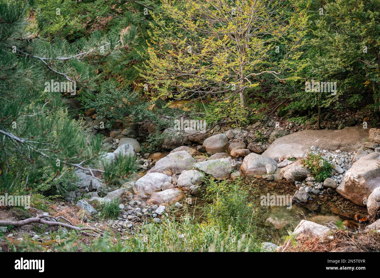 Flusso di Casso tra e Capanelle e Prati, GR20, Corsica, Francia Foto Stock