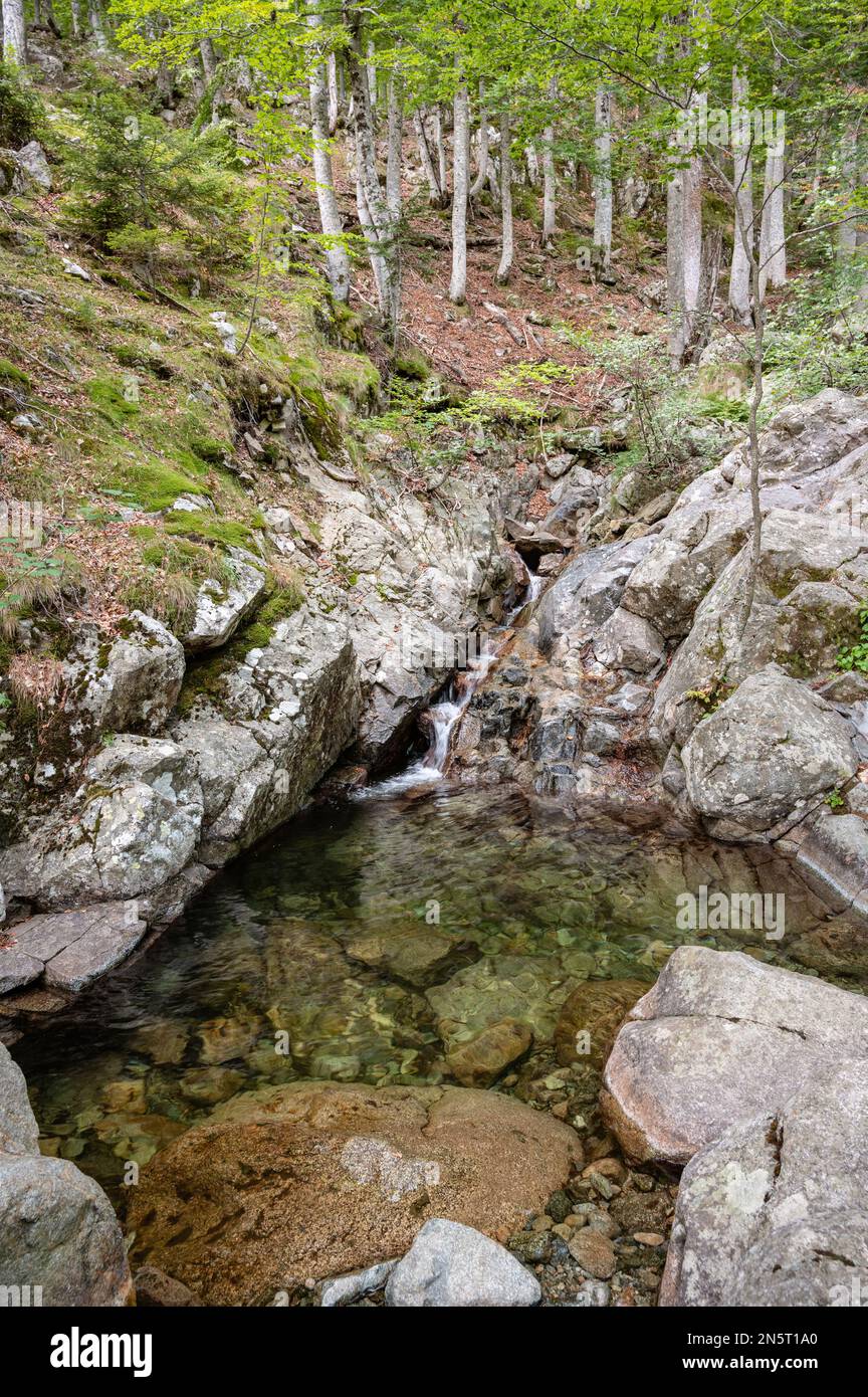Rocce e torrente in una foresta tra e Capanelle e Prati, GR20, Corsica, Francia Foto Stock