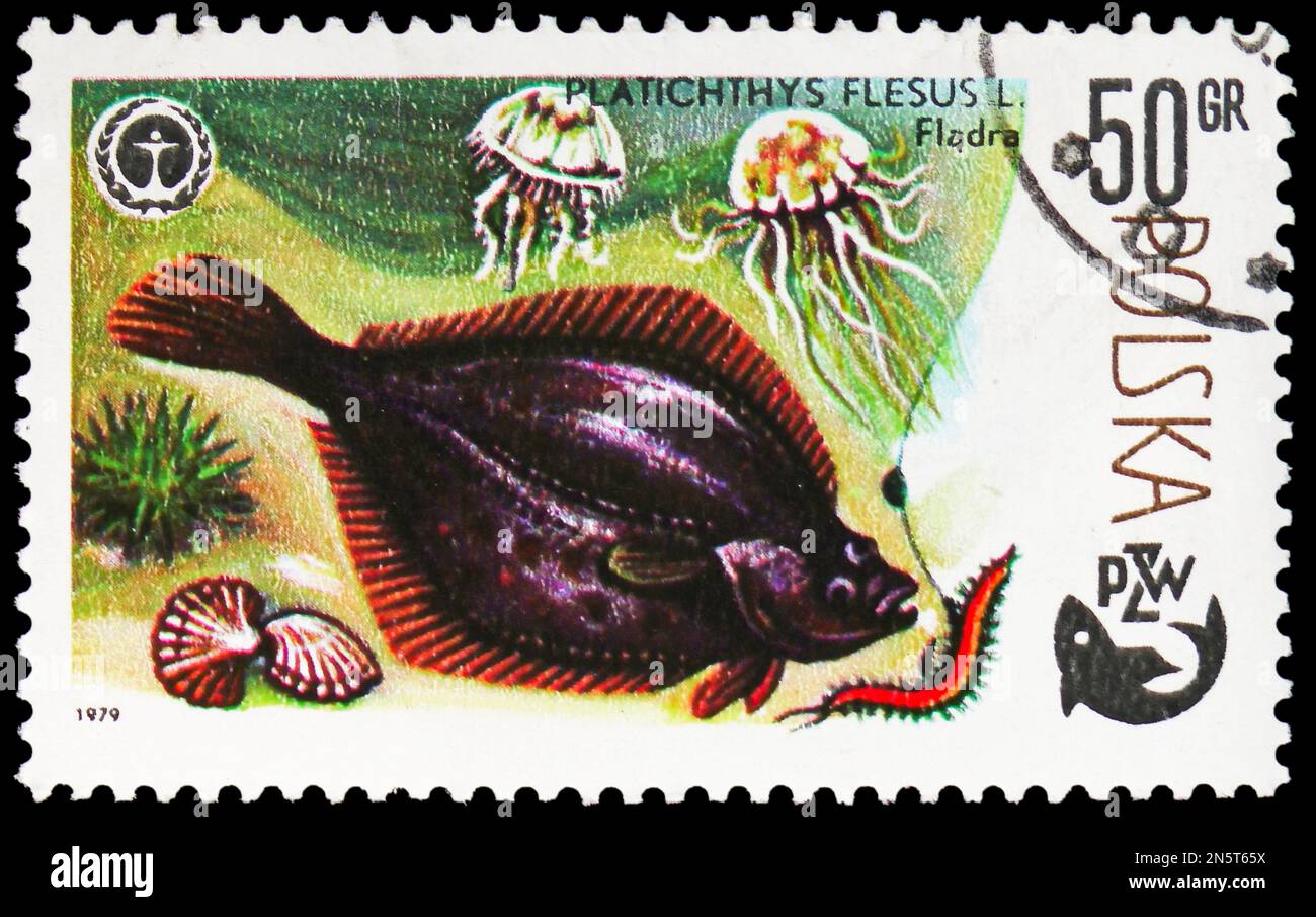 MOSCA, RUSSIA 4 FEBBRAIO 2023 Francobollo stampato in Polonia mostra