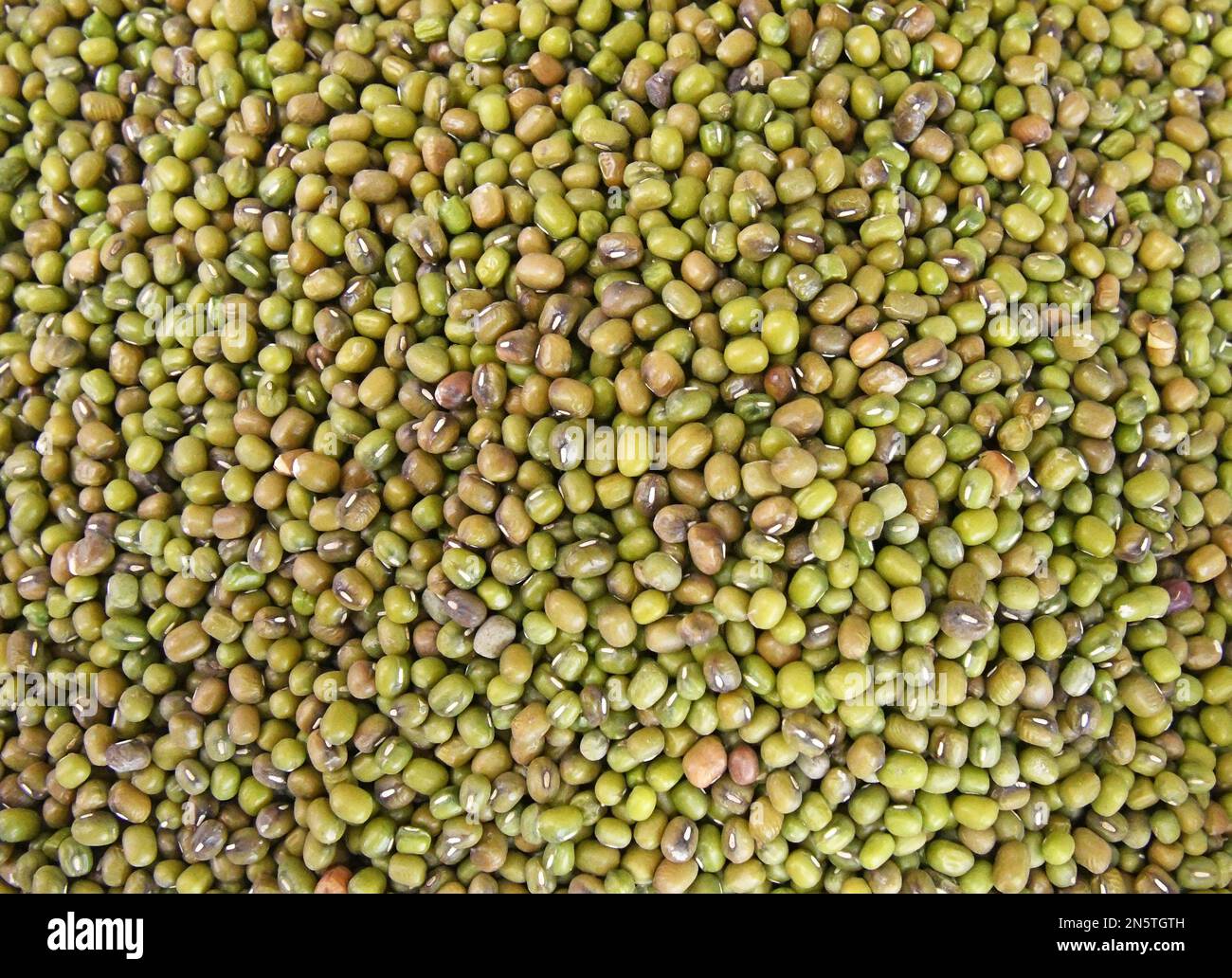 Sfondo fagioli Mung. Semi di fagiolo verde Foto Stock