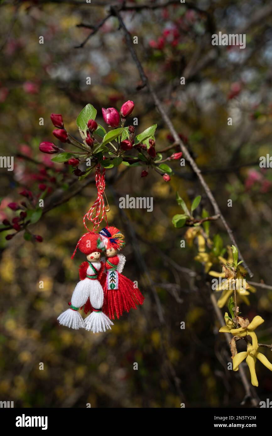 Sfondo del biglietto d'auguri per l'arrivo della primavera. Rosso-bianco uomo e donna figure martenitsa - bulgaro primavera simbolo sulla fioritura ciliegia prugna. Mart Foto Stock