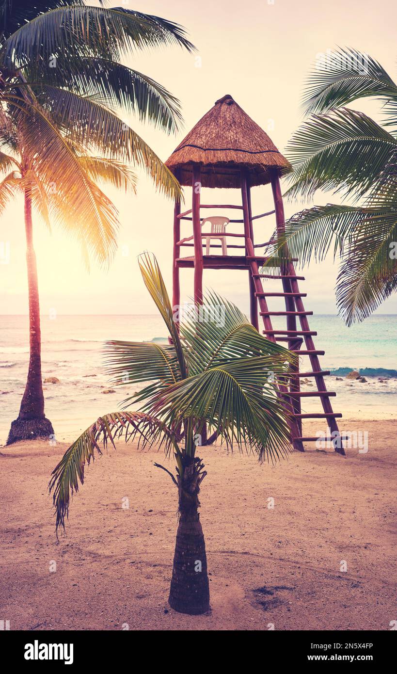Spiaggia tropicale al tramonto, focalizzazione sul primo piano, tonalità di colore applicato. Foto Stock