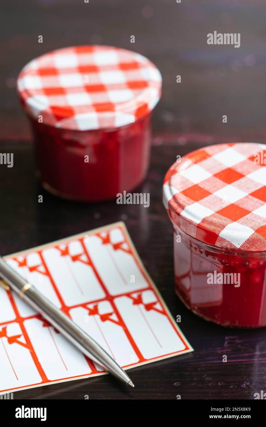 Marmellata di frutta di ribes rosso fatta in casa (chiamata anche bar-le-duc). Foto Stock