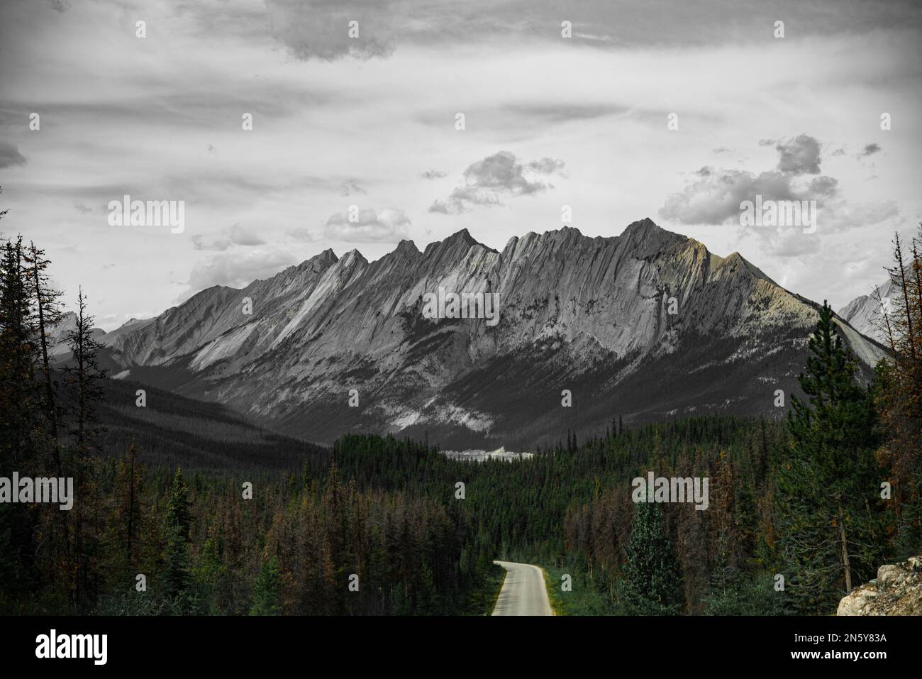 Una vista aerea di una strada di campagna e di una foresta contro un paesaggio montano Foto Stock