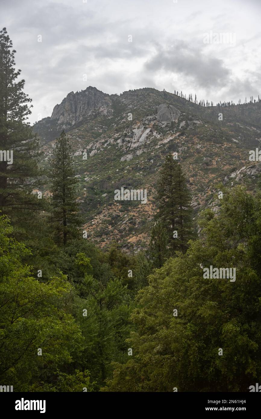 Osserva le Rocky Cliffs e la Thunder Storm dalla Tree Ffilled Valley sottostante nel Kings Canyon Foto Stock