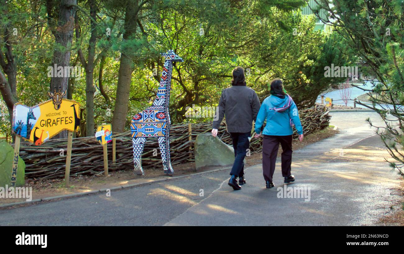 Coppia che tiene le mani a camminare accanto giraffa segno zoo di Edimburgo Foto Stock