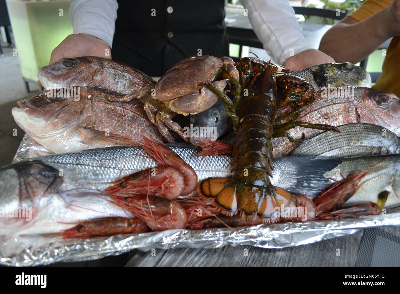 Frutti di mare, Napoli, Italia Foto Stock
