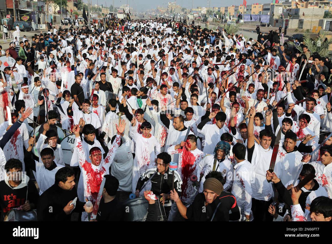Iraqi shiite faithful worshippers cut themselves with swords and knives