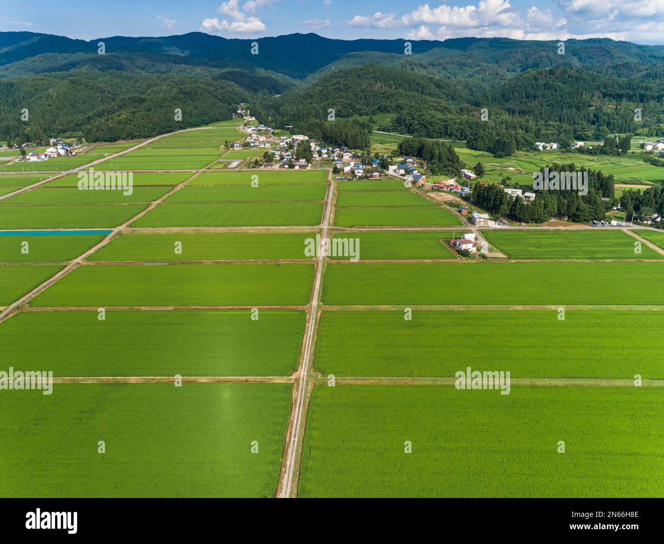 Risaia, scacchiera, case contadine, piedi di montagne, droni, Yokote City, Akita, Tohoku, Giappone, Asia orientale, Asia Foto Stock