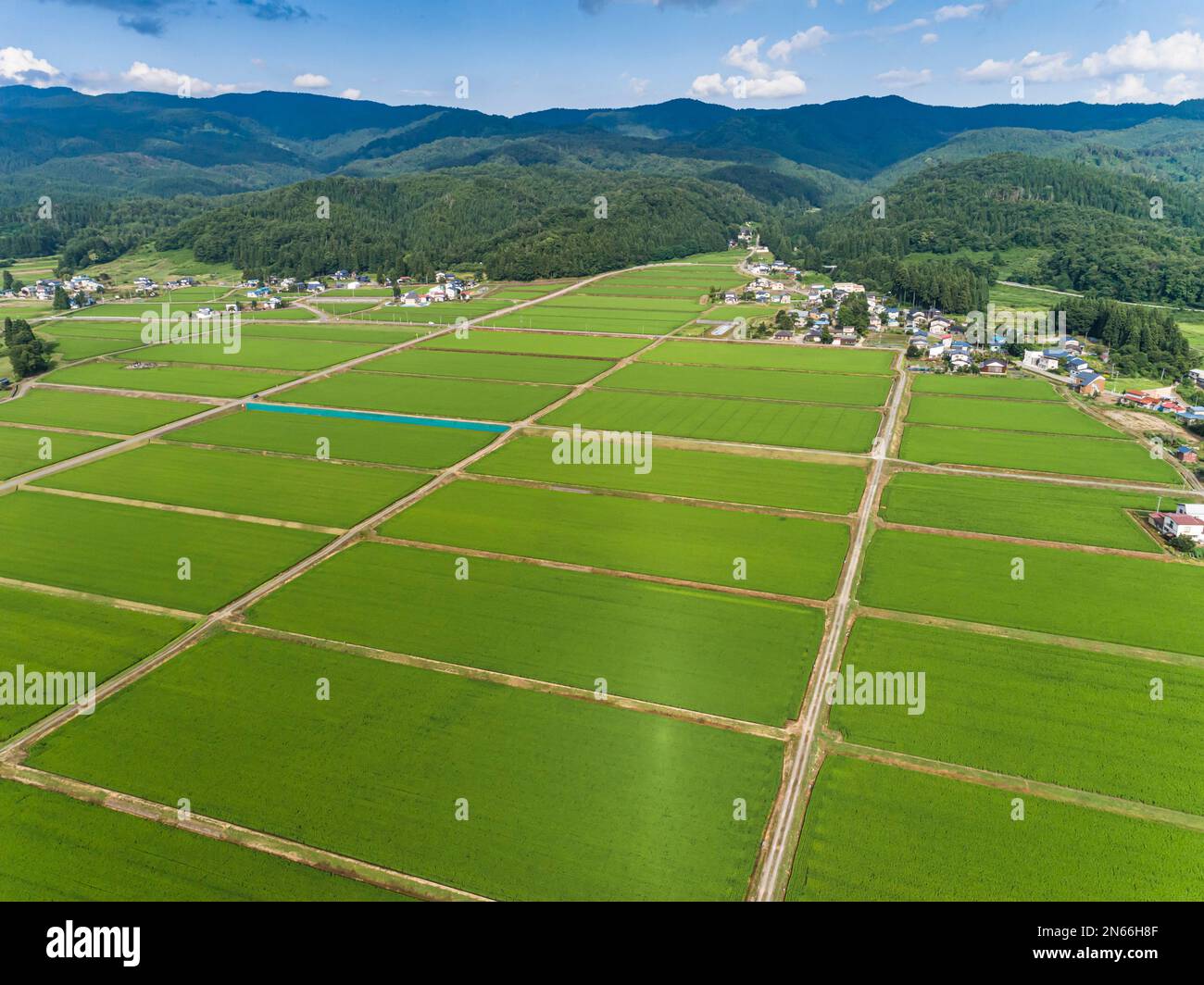 Risaia, scacchiera, case contadine, piedi di montagne, droni, Yokote City, Akita, Tohoku, Giappone, Asia orientale, Asia Foto Stock