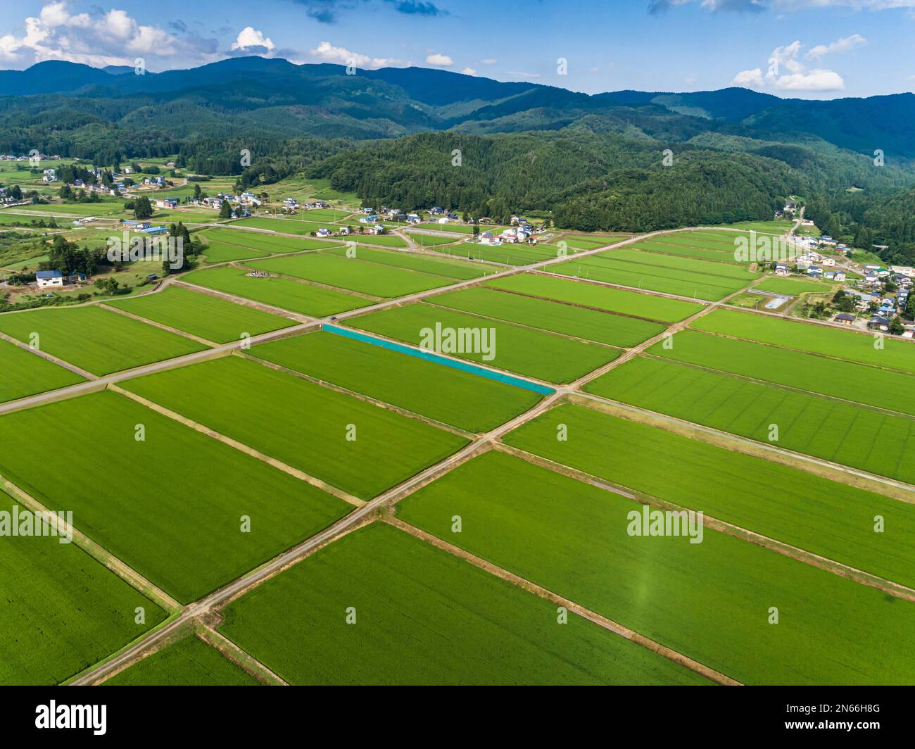 Risaia, scacchiera, case contadine, piedi di montagne, droni, Yokote City, Akita, Tohoku, Giappone, Asia orientale, Asia Foto Stock