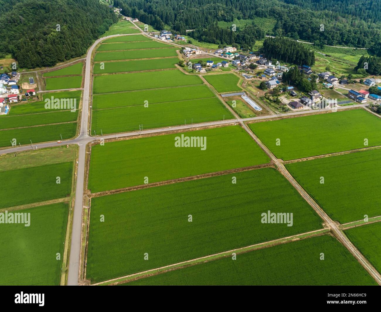 Risaia, scacchiera, case contadine, piedi di montagne, droni, Yokote City, Akita, Tohoku, Giappone, Asia orientale, Asia Foto Stock