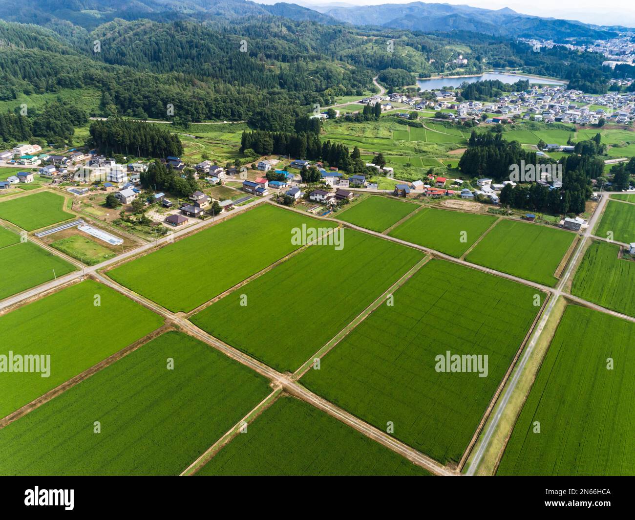 Risaia, scacchiera, case contadine, piedi di montagne, droni, Yokote City, Akita, Tohoku, Giappone, Asia orientale, Asia Foto Stock