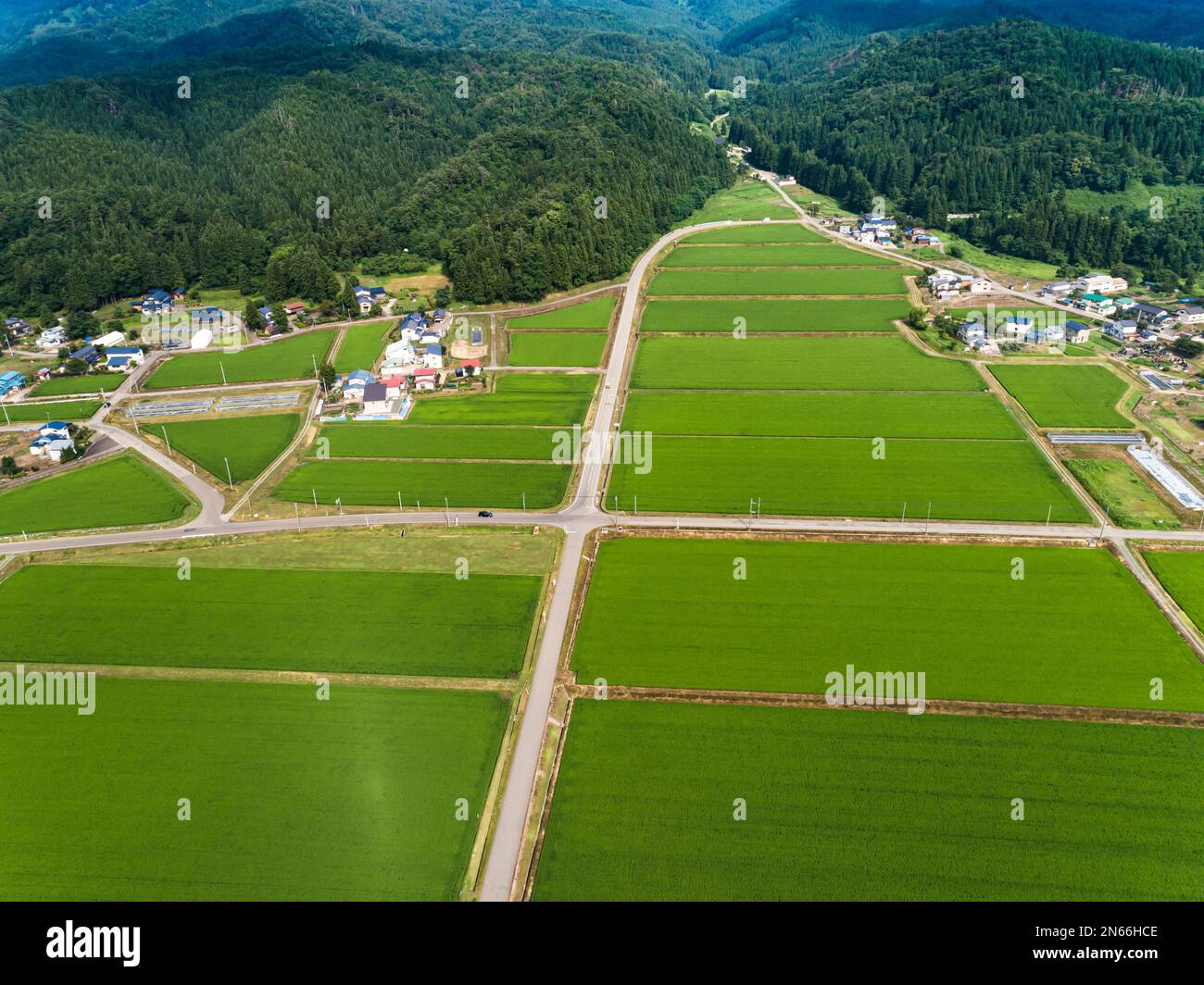Risaia, scacchiera, case contadine, piedi di montagne, droni, Yokote City, Akita, Tohoku, Giappone, Asia orientale, Asia Foto Stock