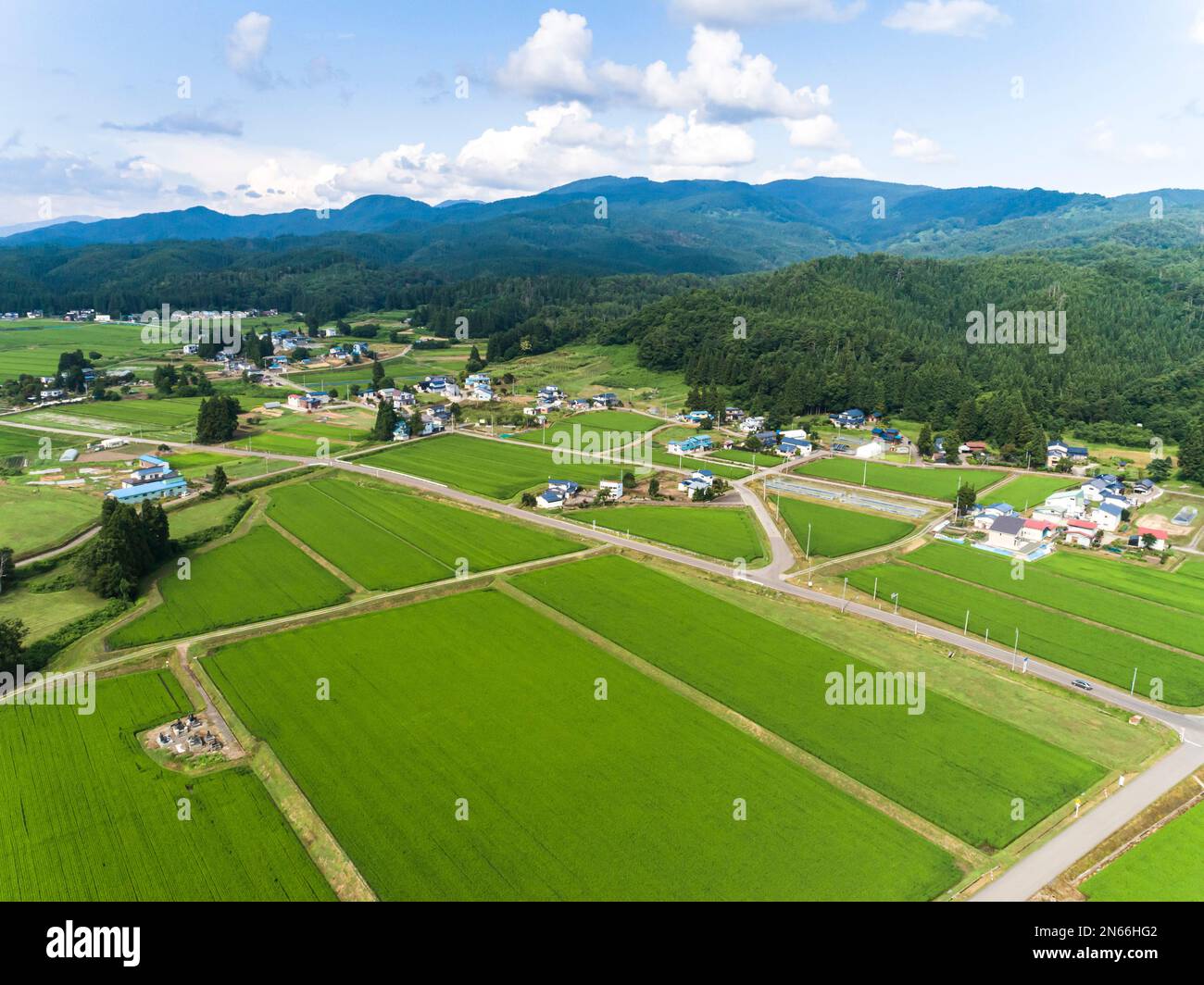 Risaia, scacchiera, case contadine, piedi di montagne, droni, Yokote City, Akita, Tohoku, Giappone, Asia orientale, Asia Foto Stock