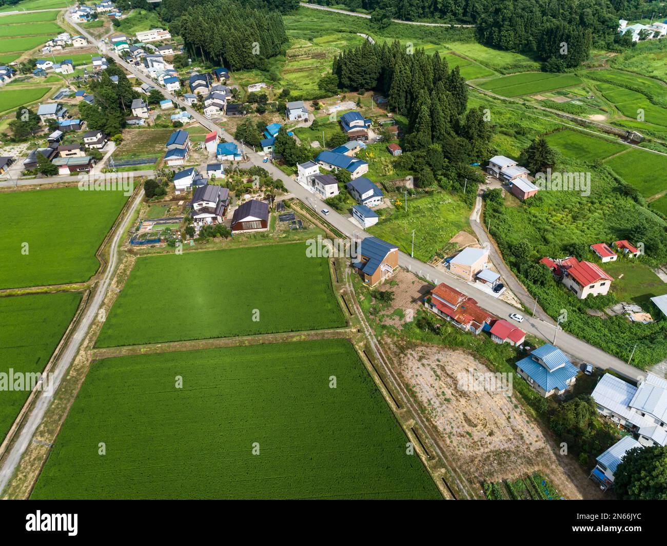 Campo di riso, case dei contadini, piedi delle montagne, Drone Aerial, Yokote City, Akita, Tohoku, Giappone, Asia orientale, Asia Foto Stock