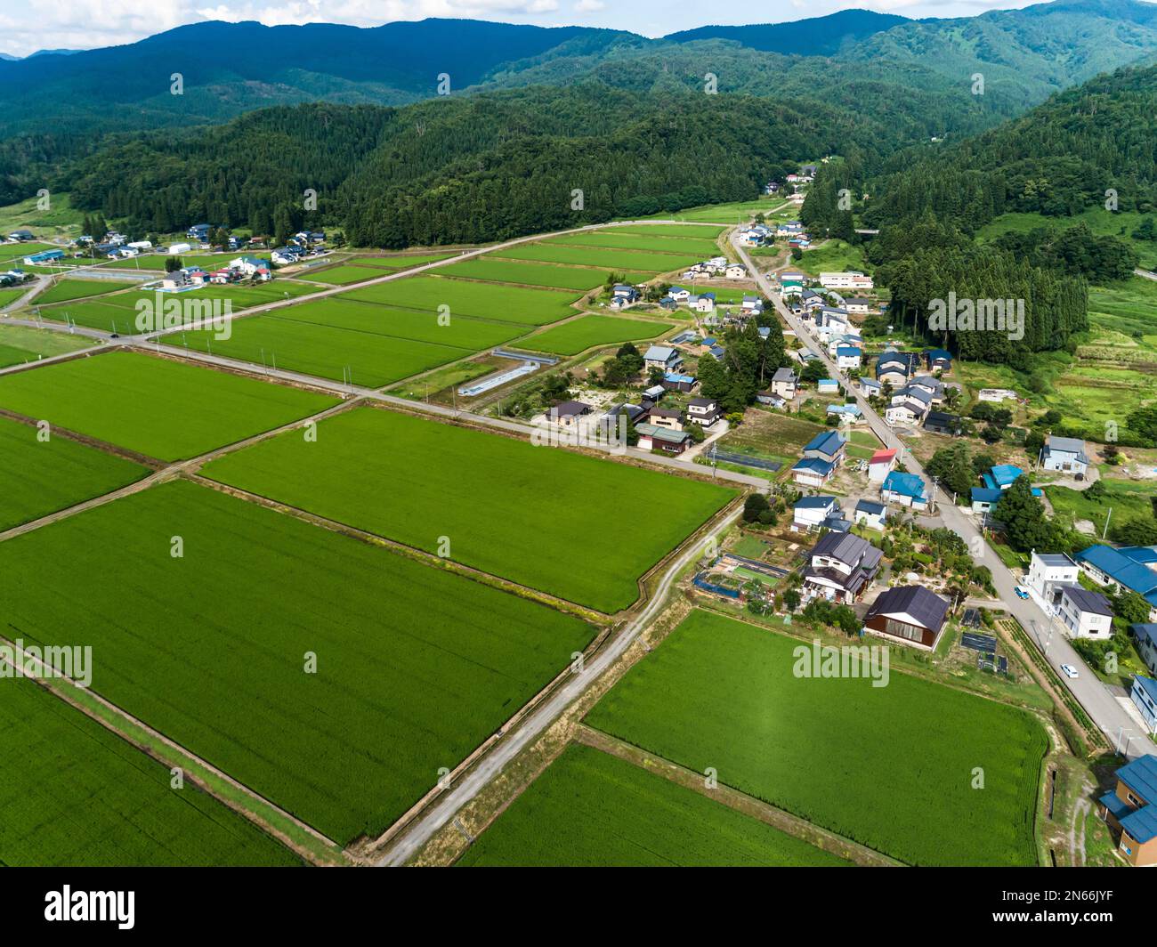 Campo di riso, case dei contadini, piedi delle montagne, Drone Aerial, Yokote City, Akita, Tohoku, Giappone, Asia orientale, Asia Foto Stock