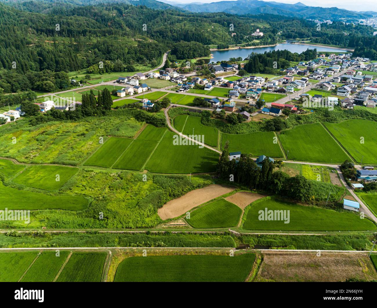 Campo di riso, case dei contadini, piedi delle montagne, Drone Aerial, Yokote City, Akita, Tohoku, Giappone, Asia orientale, Asia Foto Stock