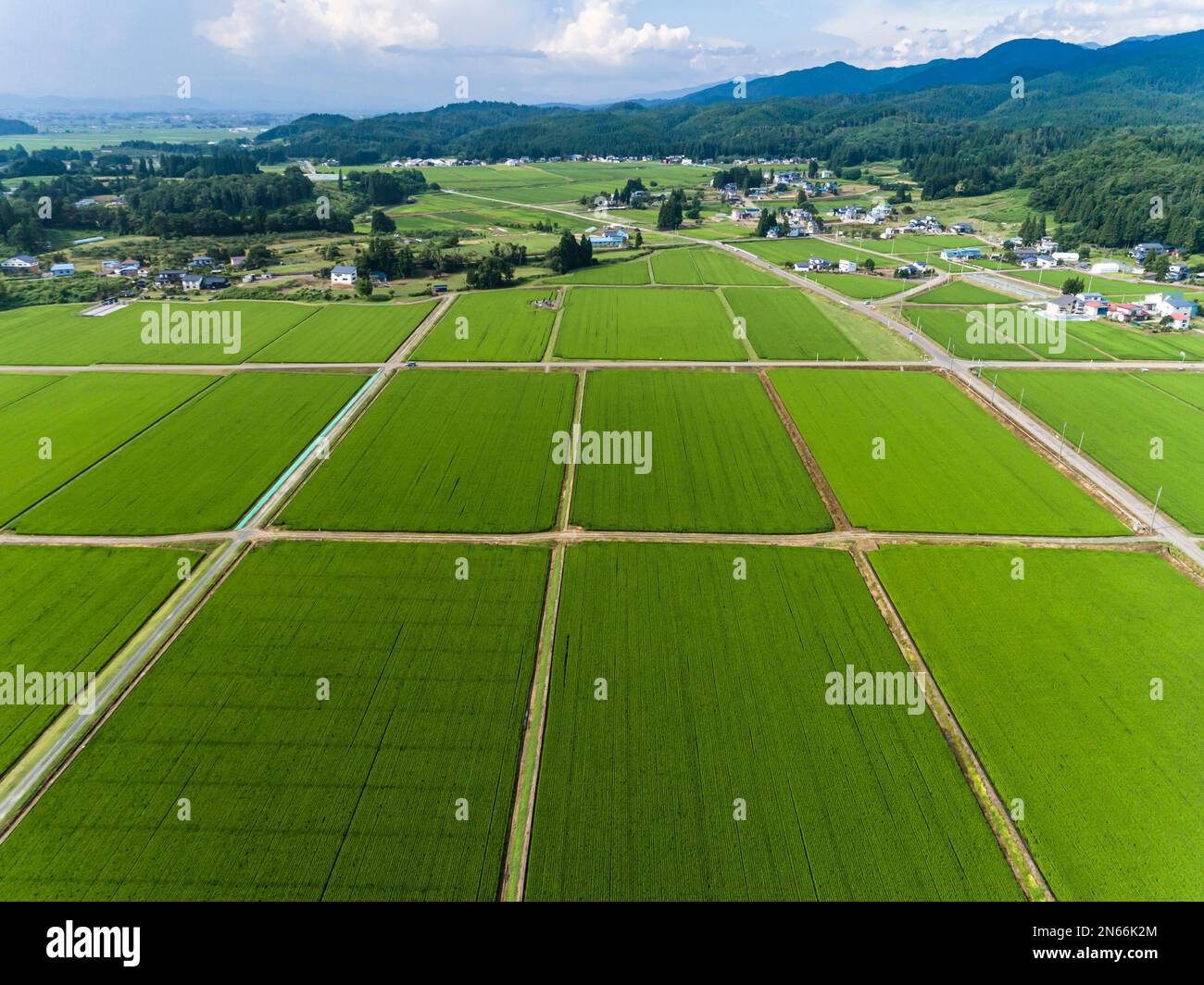 Campo di riso, case dei contadini, piedi delle montagne, Drone Aerial, Yokote City, Akita, Tohoku, Giappone, Asia orientale, Asia Foto Stock
