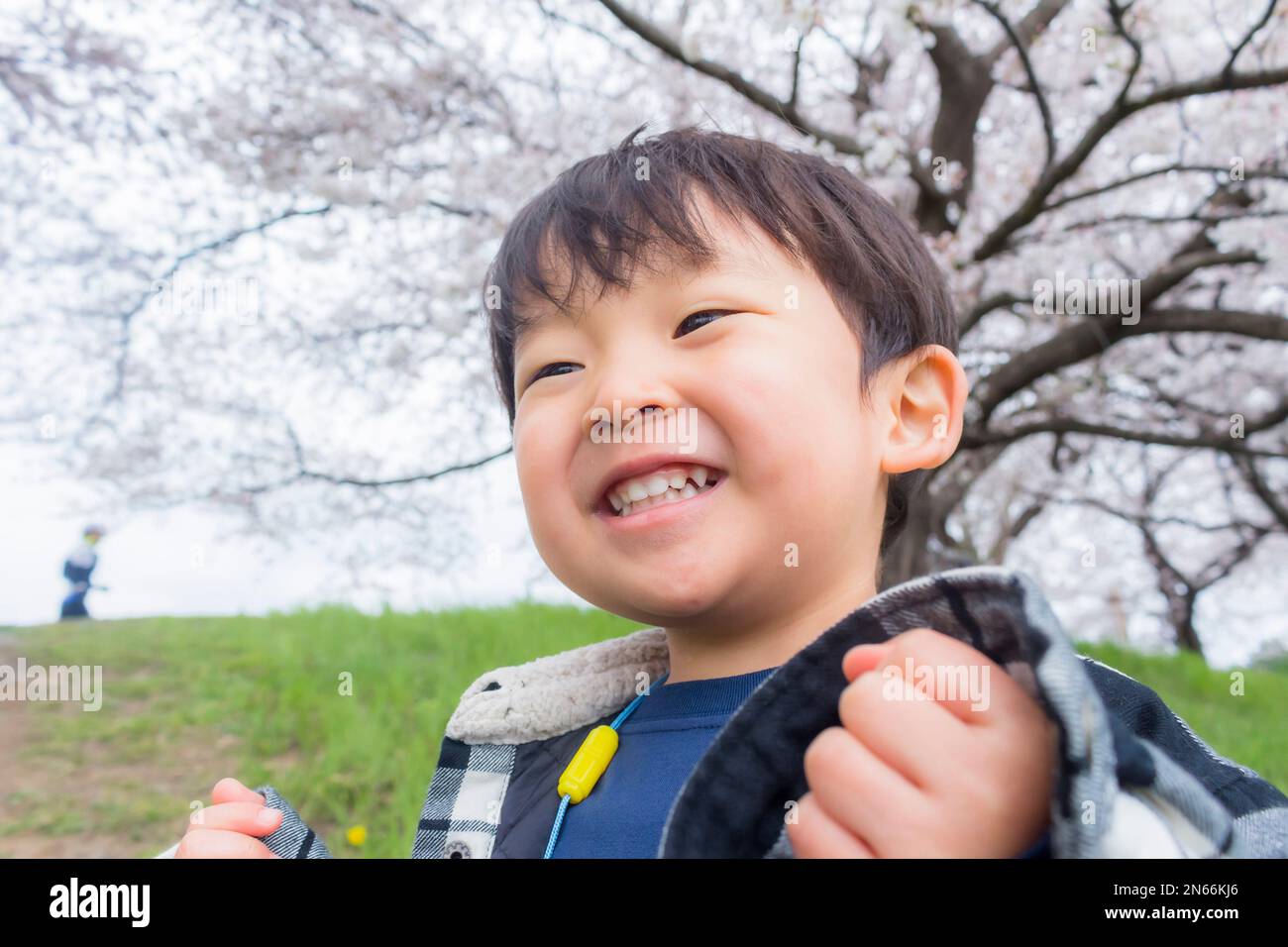 Ragazzo sorride sotto la fioritura dei ciliegi, 2 anni, sulla riva del canale, città di Saitama, provincia di Saitama, Giappone, Asia orientale, Asia Foto Stock