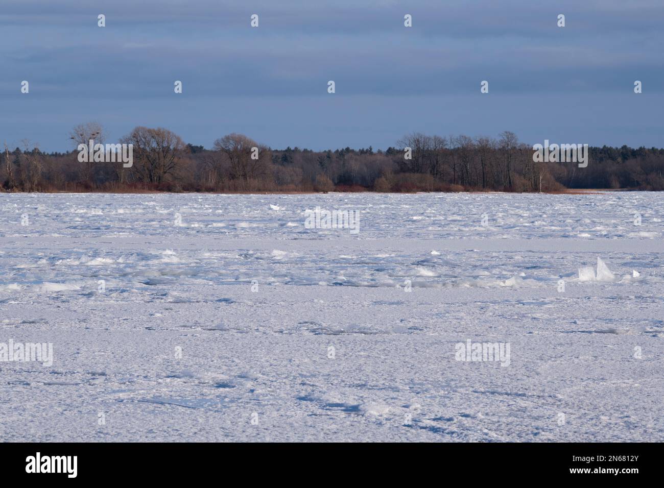 Il fiume Saint Lawrence si è surgelato con grandi pezzi di ghiaccio, inverno, Morrisburg, Ontario Foto Stock