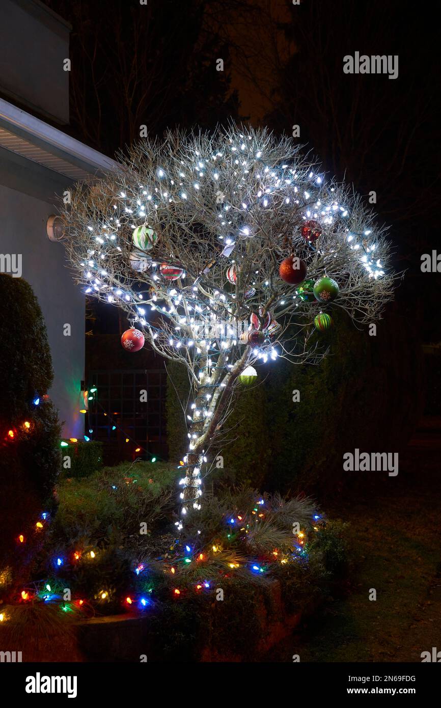 Piccolo albero all'aperto con luci bianche e decorazioni natalizie illuminate di notte Foto Stock