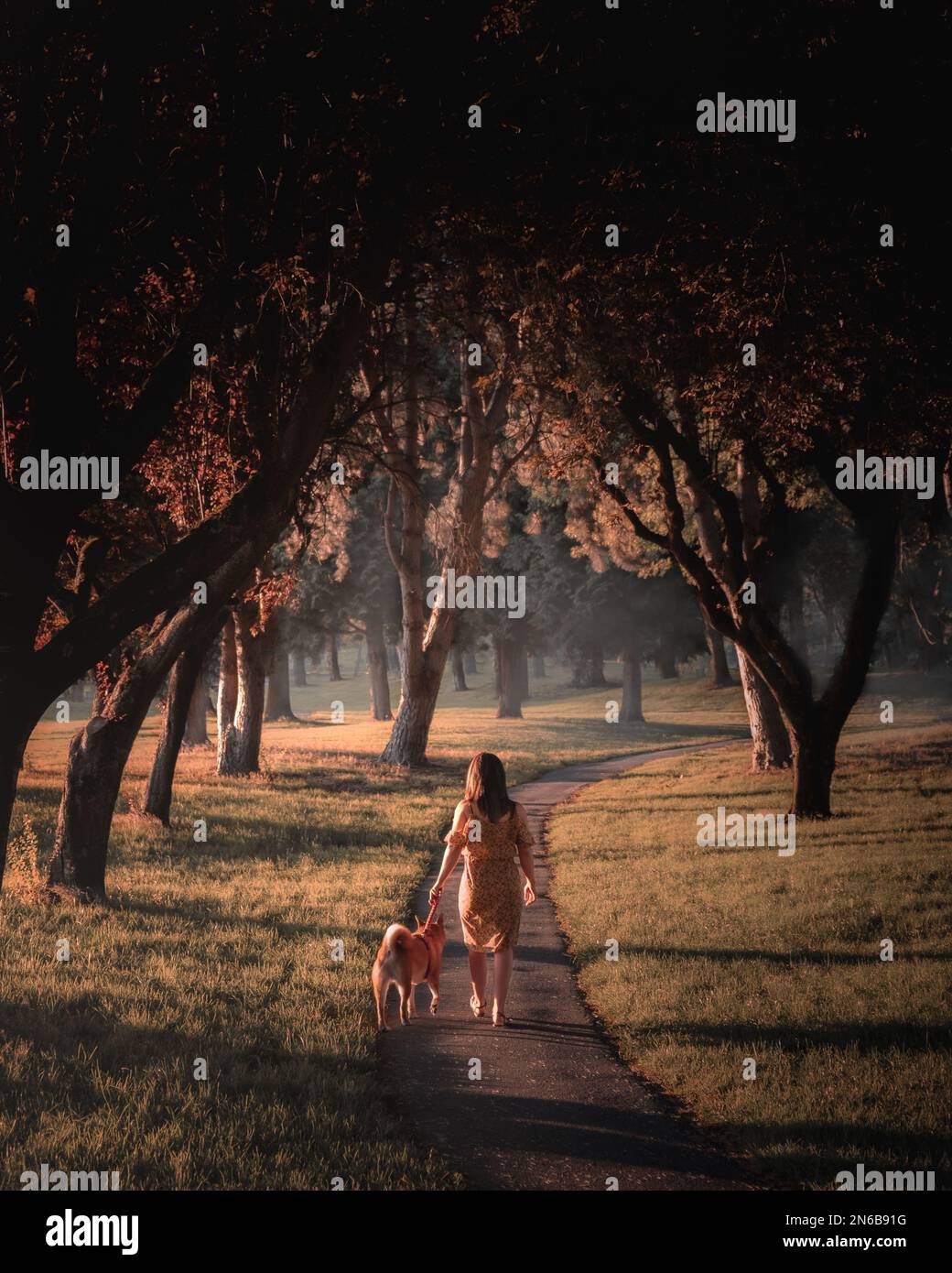 ragazza che cammina il suo cane nel parco Foto Stock
