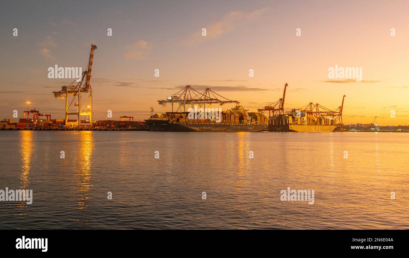 Porto di Fremantle all'alba. Foto Stock