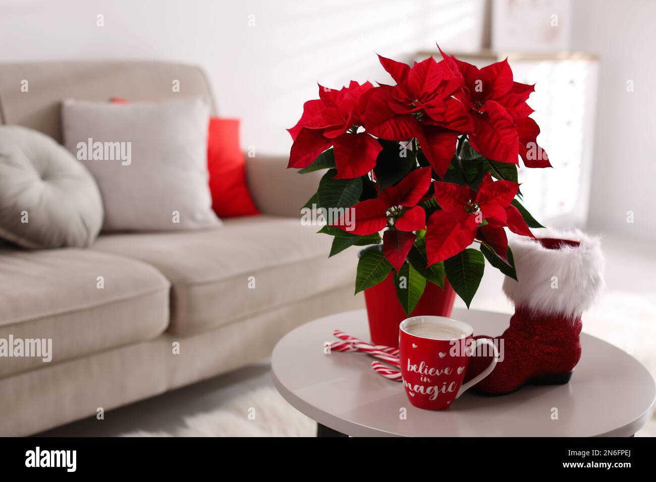 Bella poinsettia, stivale rosso e tazza di cacao sul tavolo al coperto, spazio per il testo. Tradizionale fiore di Natale Foto Stock